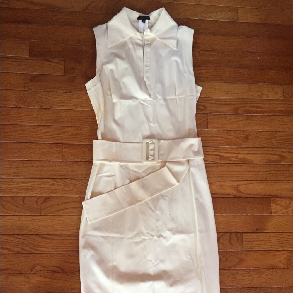 Striking belted dress